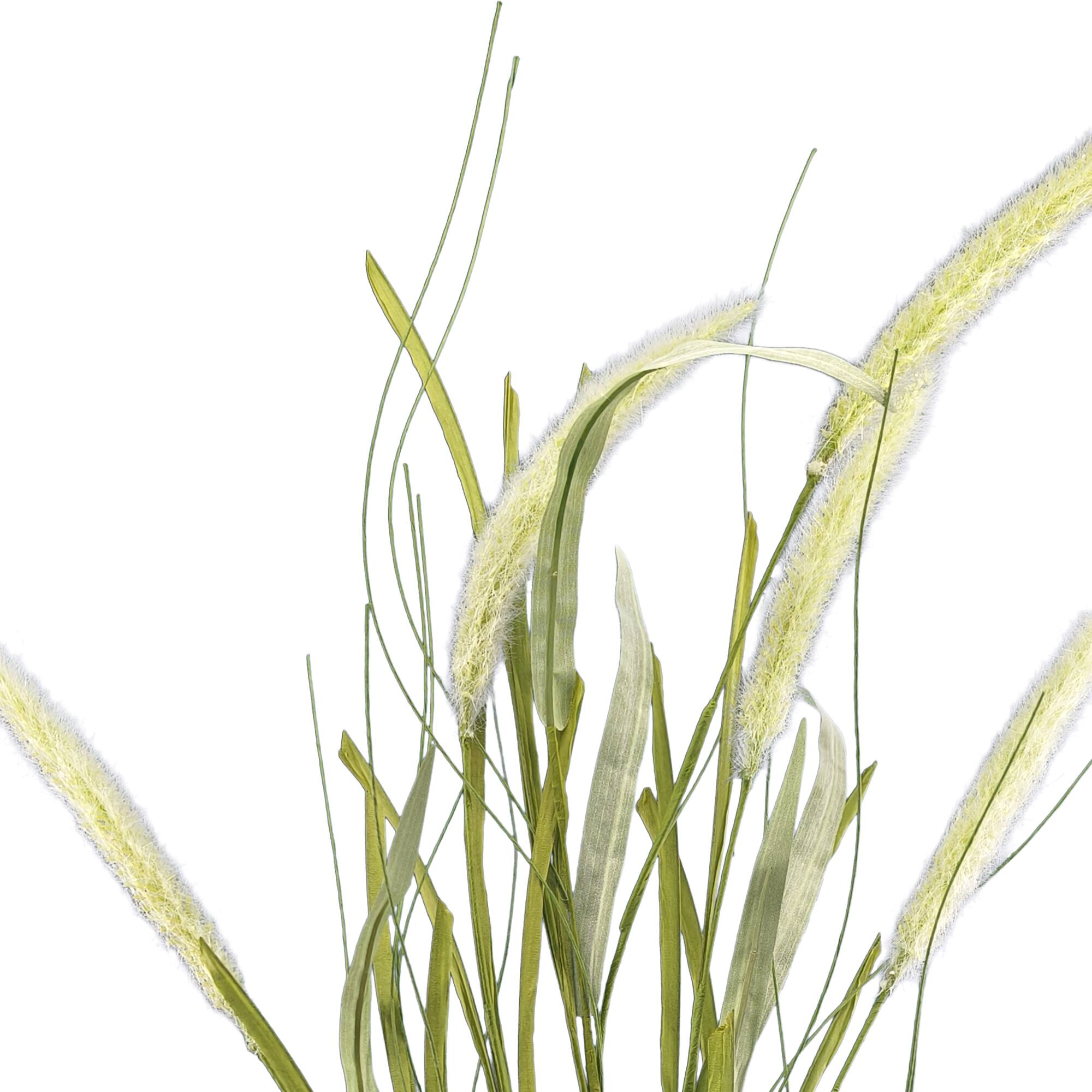 36" Cream Bunny Tail Stem by Ashland®